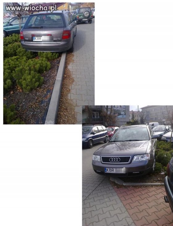 KBR   kompletny brak rozumu 