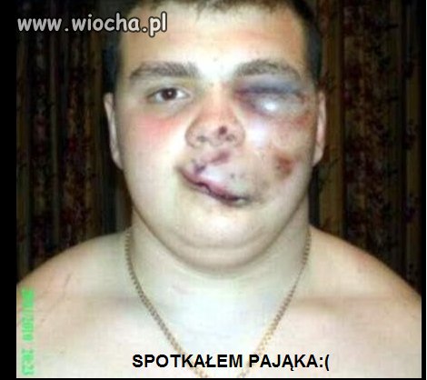 Przepraszam...