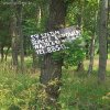 Reklama na drzewie
