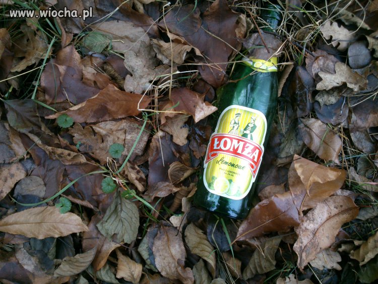 Moda na Łomżing minie...
