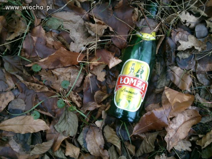 Moda na Łomżing minie...