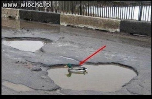 Polskie drogi są jak Mazury 