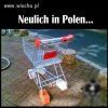 Tytuł obrazka: niedawno w Polsce