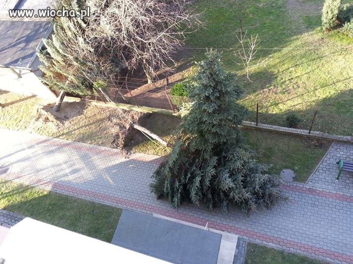 Przeminęło z wiatrem