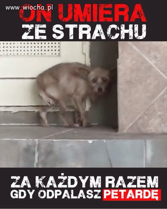 Tak dla przypomnienia