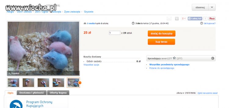 Ludzie, serio?