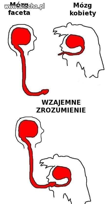 Nie ma to jak wzajemne  zrozumienie...