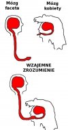 Nie ma to jak wzajemne  zrozumienie...
