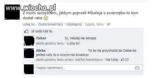 Pojazd rudemu 