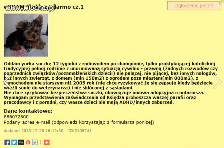 Oddam Yorka za darmo