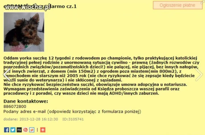 Oddam Yorka za darmo