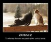 Dla wszystkich na poprawę humoru