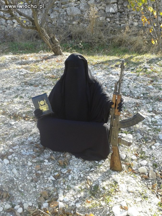 Gall Anonim