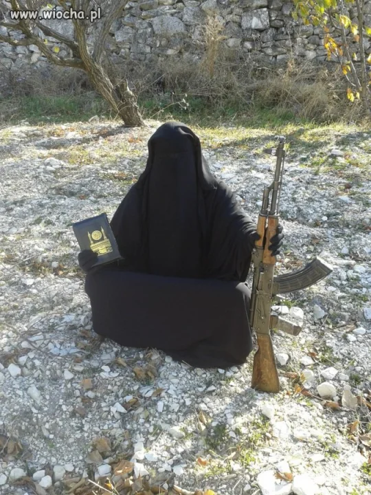 Gall Anonim
