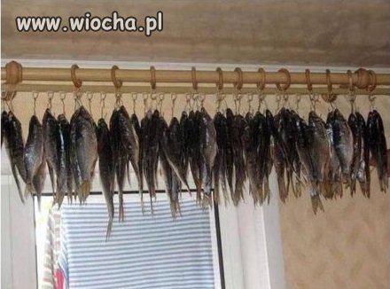 Karnisz... level Rosja