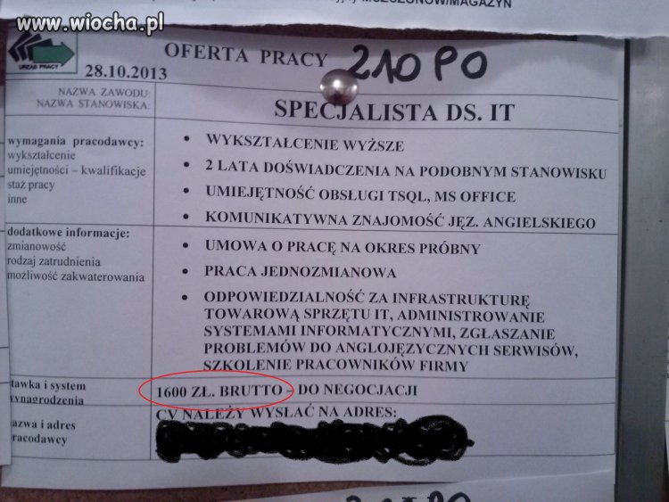 Oferta pracy w Żyrardowie...