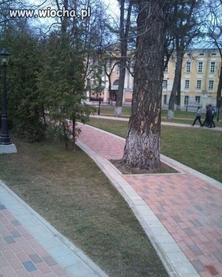 Ścieżka ekologiczna