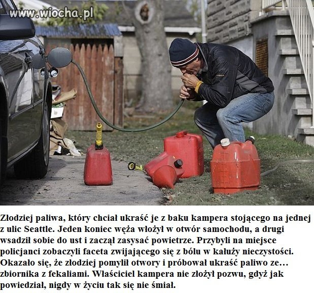 To sobie zassał