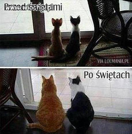 Niestety taka prawda