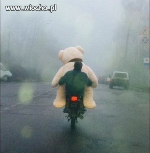 Miś na miarę naszych możliwości