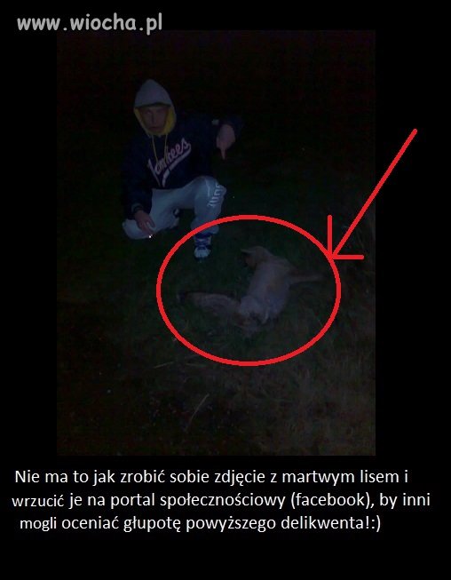 Tak trzymaj! Cała Polska z tobą!