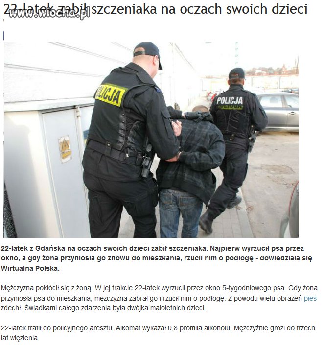 Idiota zabił szczeniaka