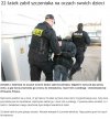 Idiota zabił szczeniaka