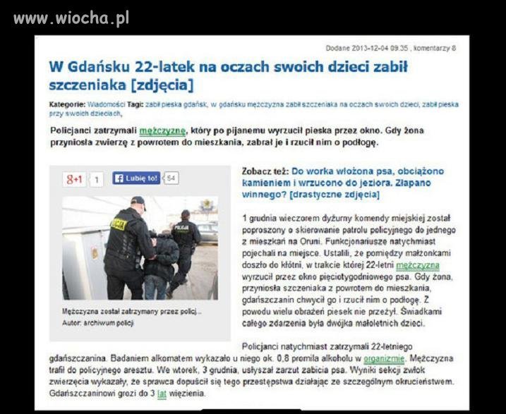 Alkohol i głupota 