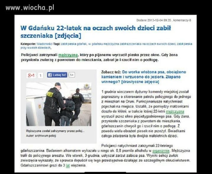 Alkohol i głupota 