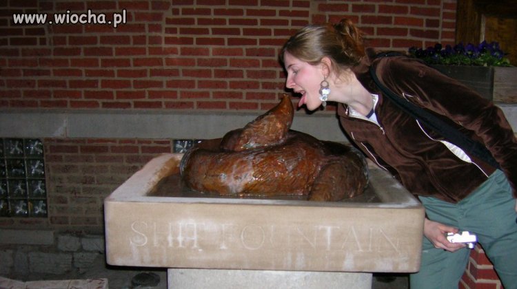 "shit fountain"