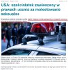 6 letni zboczeniec