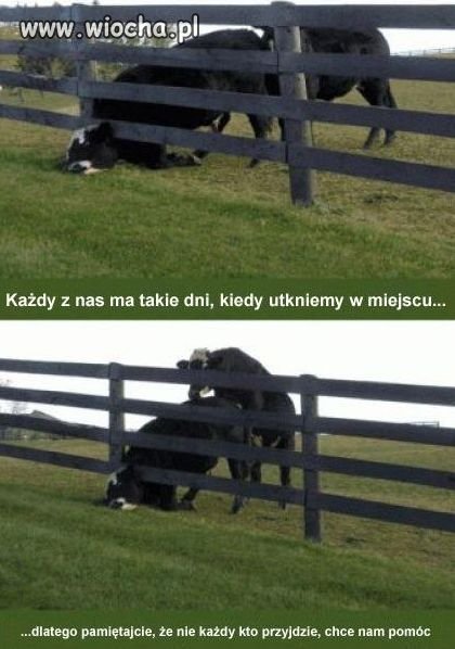 Nie przepuszczaj 