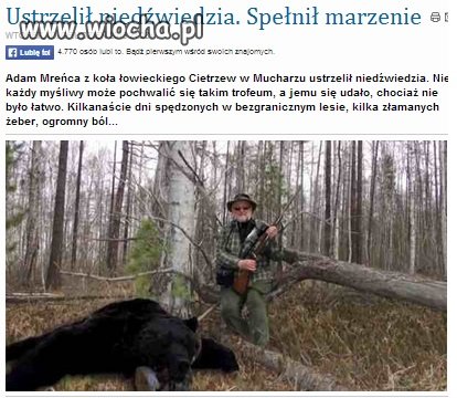Zabił niedźwiedzia