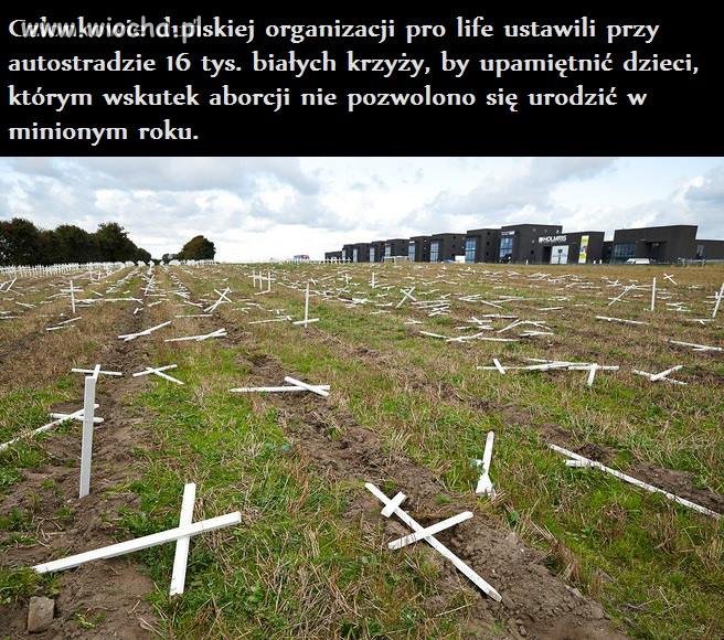 Żądam też krzyży dla ofiar masturbacji! 