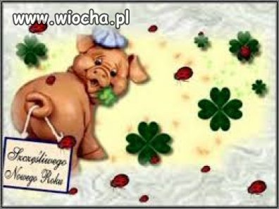 Szczęśliwego Nowego Roku dla wszystkich z wiochy.
