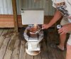 Grill