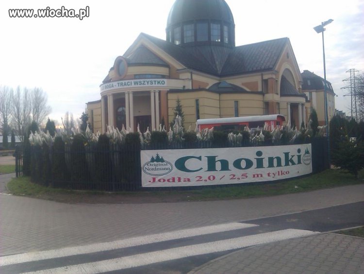 Kolejny biznes pazernej, czarnej stonki