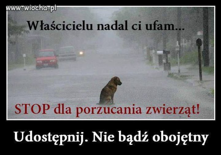 Czy jak to udostępnię to przestaniecie porzucać ?