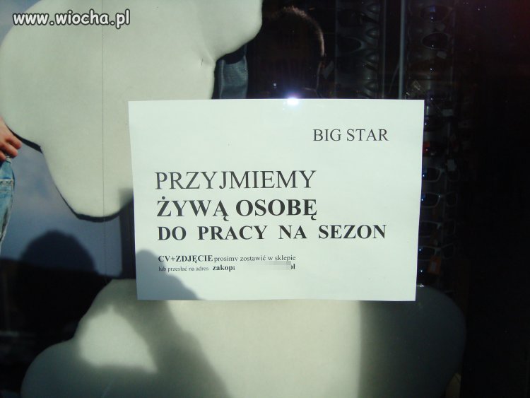 Przyjmiemy żywą...