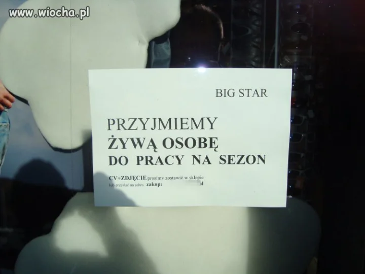 Przyjmiemy żywą...