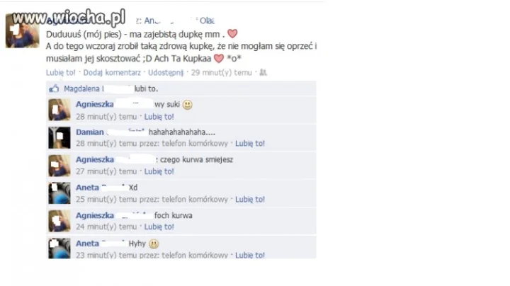 Kupa psa...