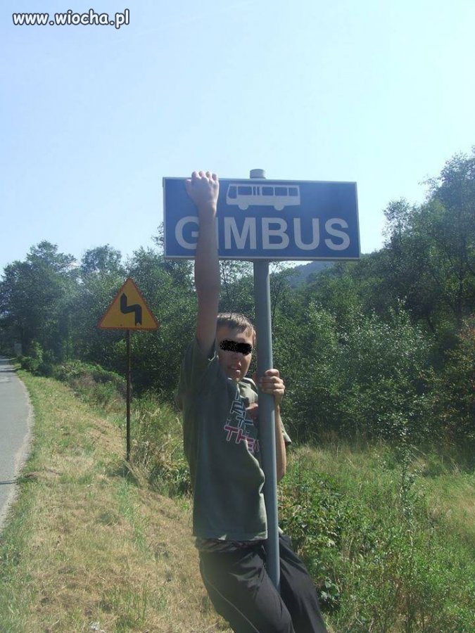 Gimbus na swoim miejscu  