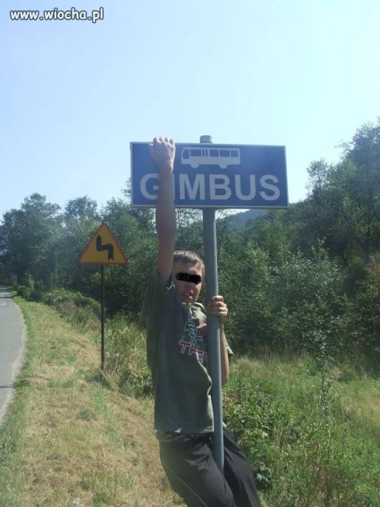 Gimbus na swoim miejscu  