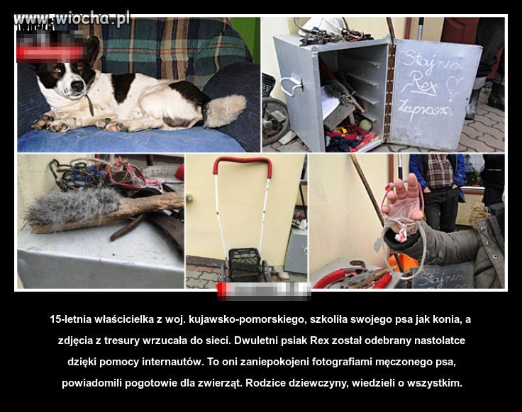 Księżniczka