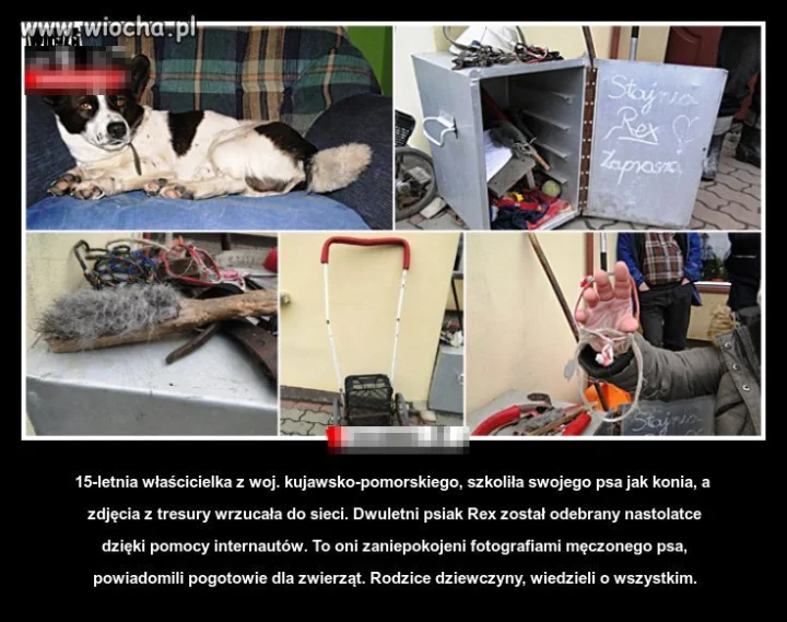 Księżniczka