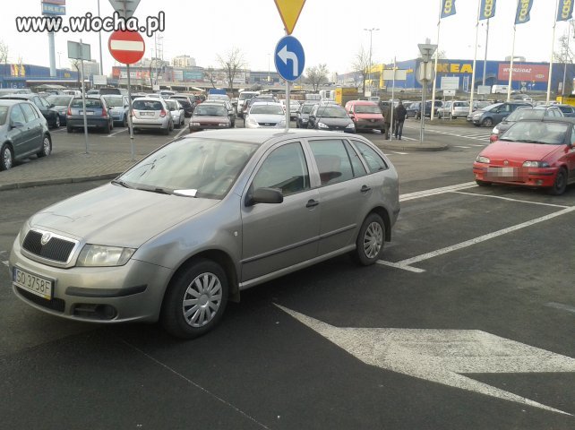 Mistrz Parkowania