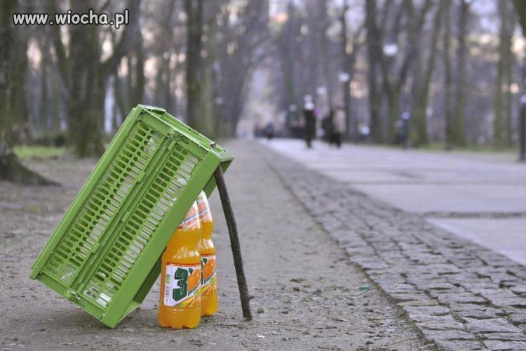 Tymczasem w Radomiu.
