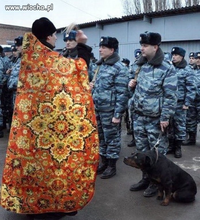 Psy znaja sie na ludziach..potrafia wyczuc ...