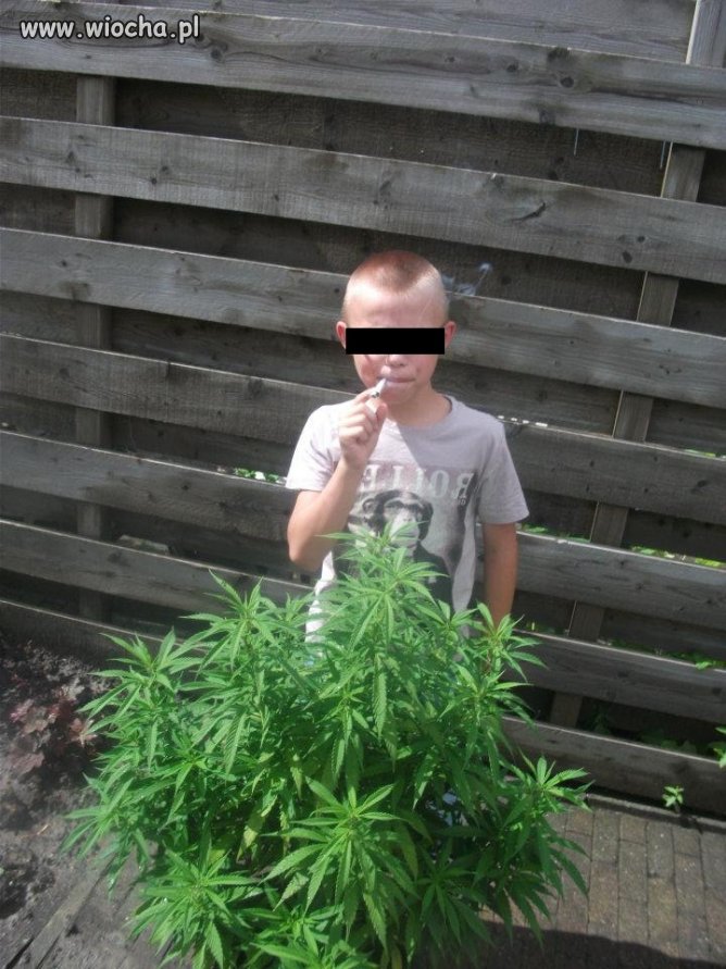 Młody ma lans