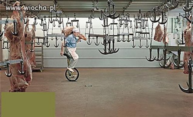 Mechanizacja 